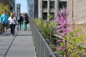The High Line sits above the city