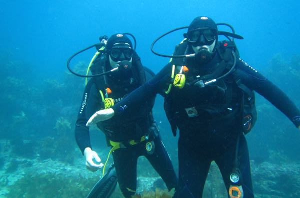 Dive james me