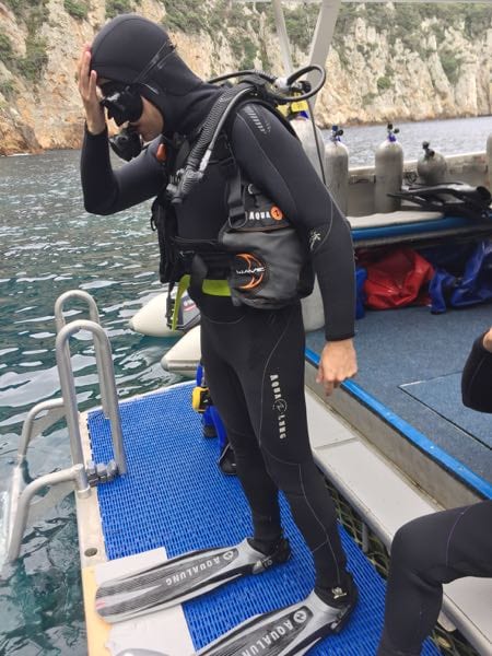 Dive step