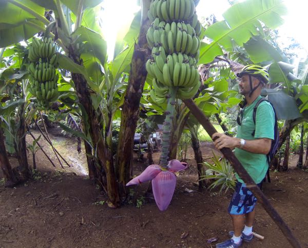 DCIM100GOPRO