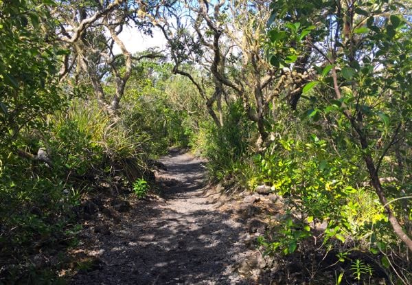 Marathon track