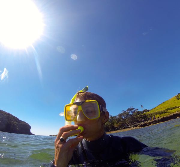 DCIM100GOPRO
