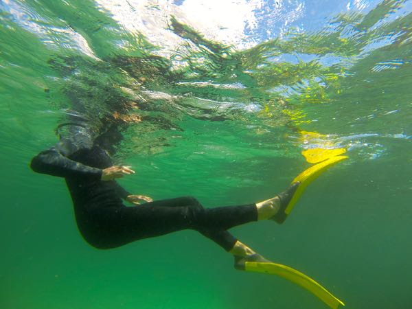 DCIM100GOPRO
