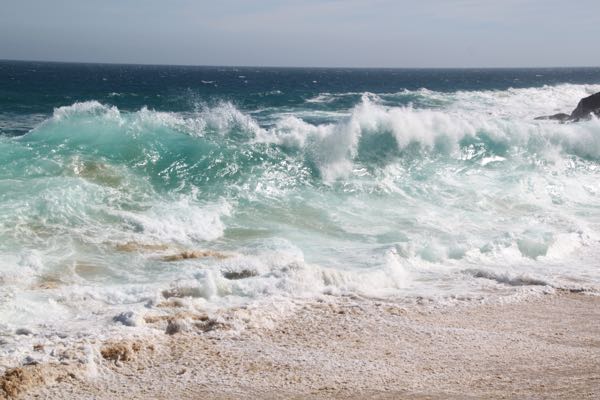 c ocean